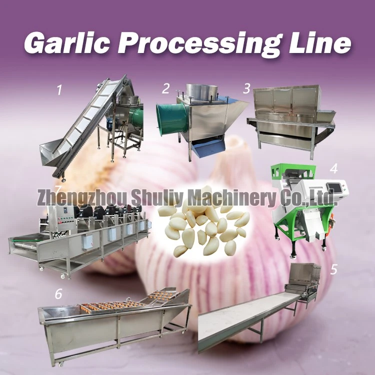 Garlic peeling machine process line Garlic peeling machine process line