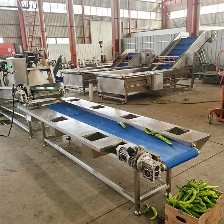 vegetable washing packing line