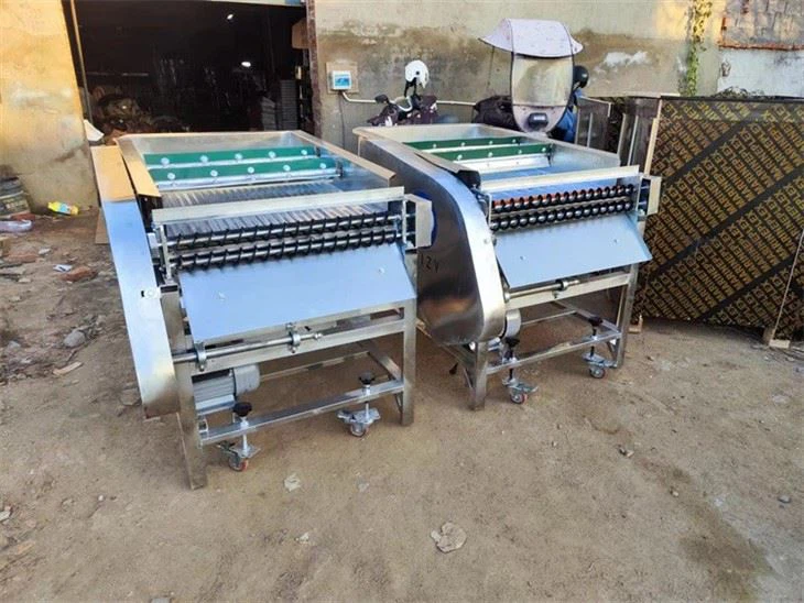 pea shelling machine (3)