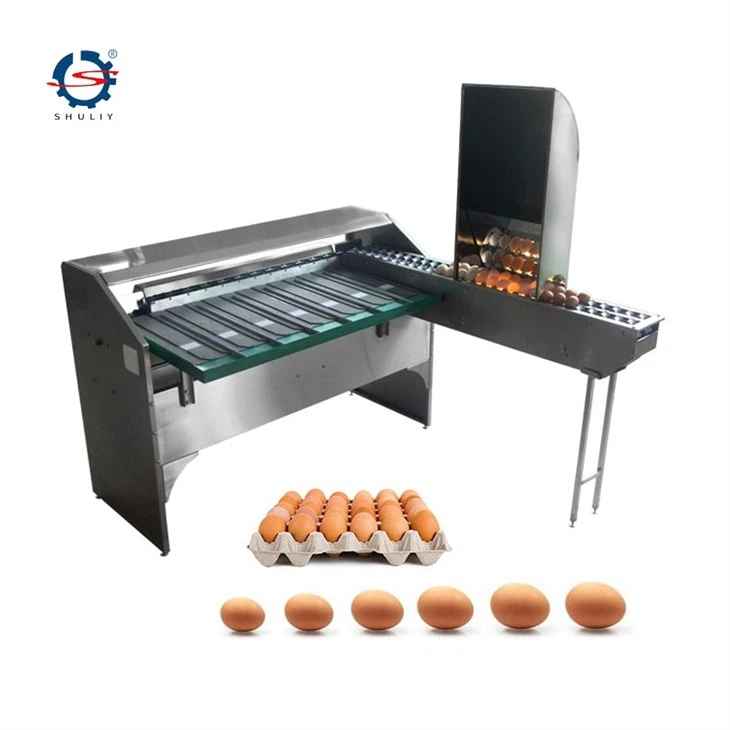 egg sorting grading machine2