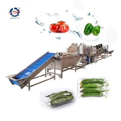 Linha de produção de lavagem de frutas e vegetais