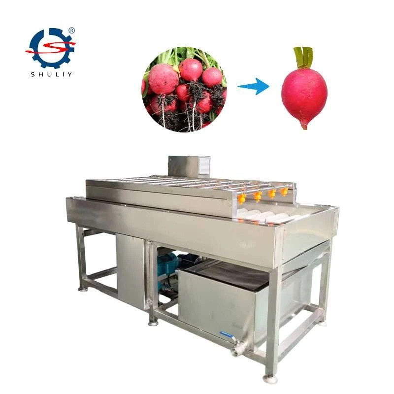 Vegetable Cleaner Machine best